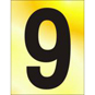 ASEC 75mm Brass Letters & Numerals - 9 - BR029P 