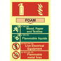 ASEC Fire Extinguisher 200mm X 300mm PVC Self Adhesive Photo Luminescent Sign - Foam - 1574 