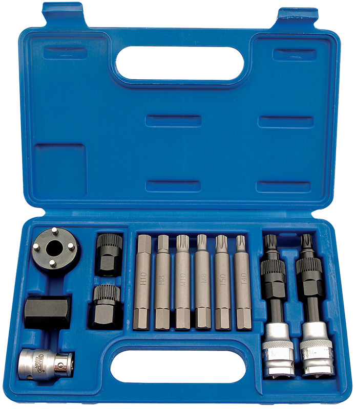 Expert 13 Piece Alternator Pulley Tool Kit - 09538 