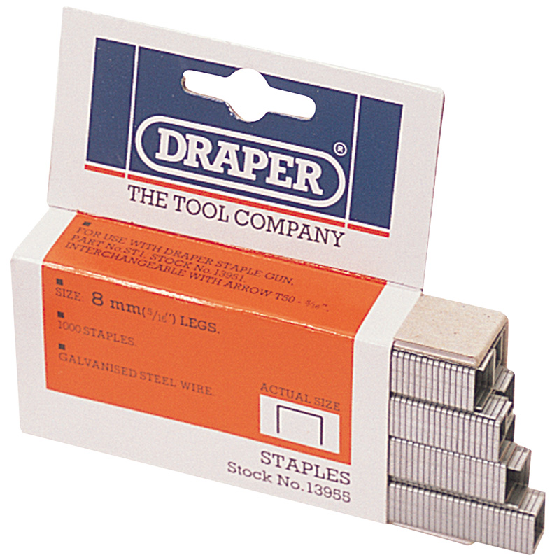 1000 X 8mm Heavy Duty Staples - 13955 