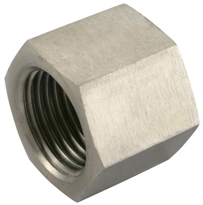 BLANKING CAP NPT 1/4" - 689N14