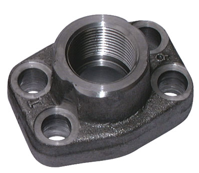 2.1/2" FLANGE THREADED 2.1/2" NPT - AFS110N