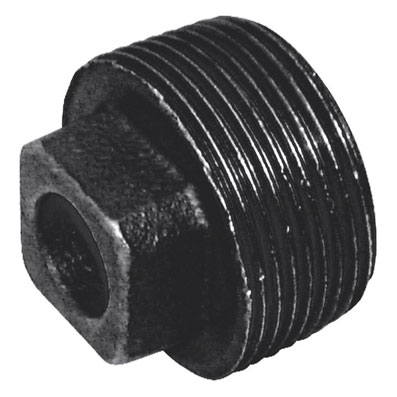 2" Plain Solid Plug - C148-2N