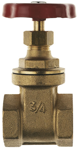 1/2" BSP FEMALE HEAVY BRASS GATE VALVE - GV157-12