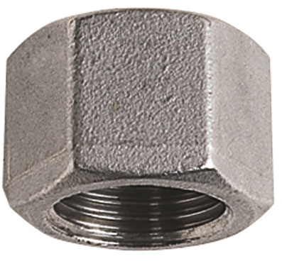 1.1/2" Hexagon Blanking Cap - HBC-112