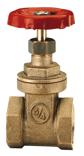 2" BSP FEMALE BRASS GATE VALVE PN20 - IT157-2