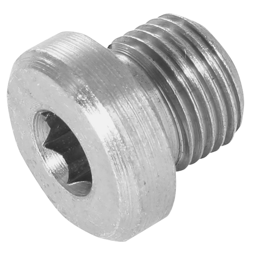 1/8" BSP Socket Head Plug Bonded Seal - 09025-02-SPG 