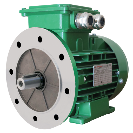 WEA Series - Aluminium - 3 Phase - B35 Foot and Flange Mounting - WEA100l2-4/3KW/400V/B35/50hz IE2 - WEA100L2-4 