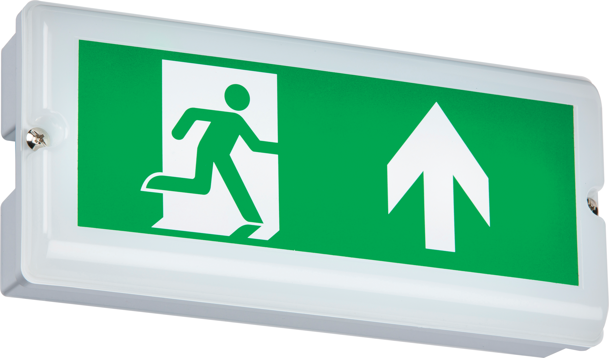 230V IP65 3W LED Emergency Bulkhead (maintained/ Non-maintained) - EMLED2A 