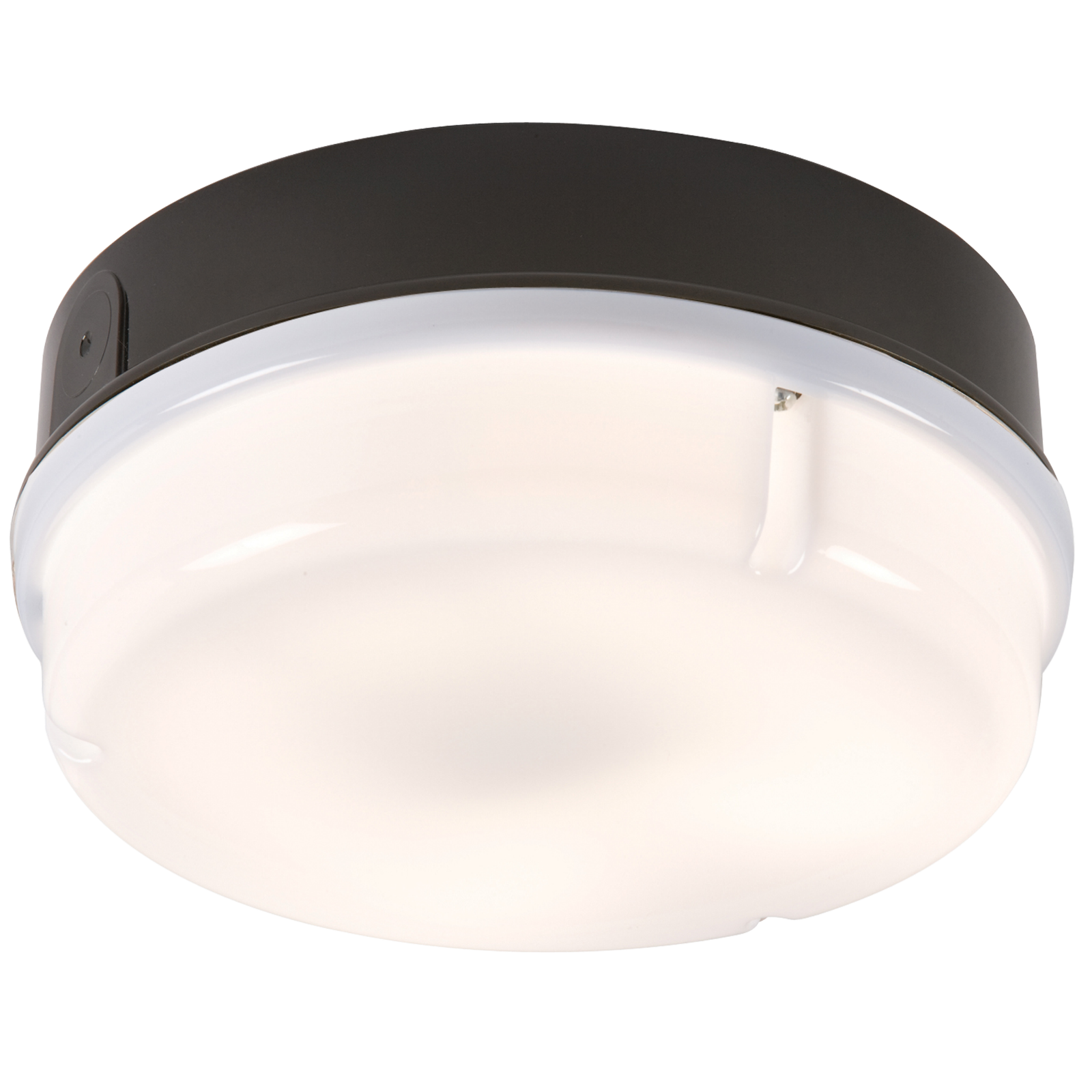 IP65 16W Round Bulkhead With Opal Diffuser And Black Base - TPR16BOHF 