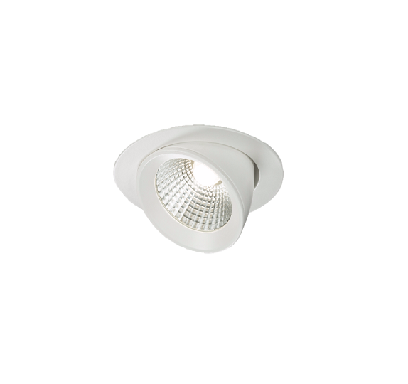 230V 15W Round LED Recessed Adjustable Downlight - WW15C 