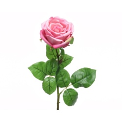 Kaemingk Silk Rose Open On Stem - 68cm Soft Pink - STX-102148 