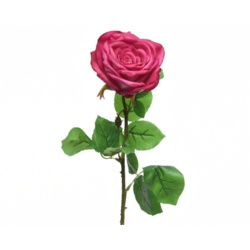 Kaemingk Silk Rose Open On Stem - 68cm Fuchsia - STX-102149 