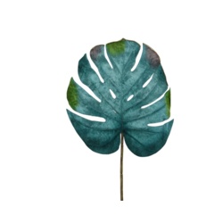 Kaemingk PES Velvet Monstera Leaf - Green - STX-102153 