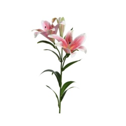 Kaemingk PES Real Touch Lily On Stem - Pink - STX-102162 