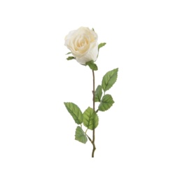 Kaemingk Closed Silk Rose On Stem - 7 x 45cm Cream - STX-102167 