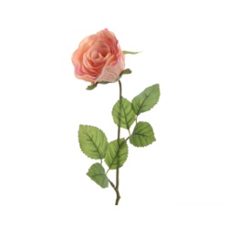 Kaemingk Closed Silk Rose On Stem - 7 x 45cm Peach - STX-102168 