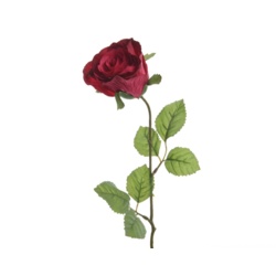 Kaemingk Closed Silk Rose On Stem - 7 x 45cm Fuchsia - STX-102169 