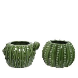 Kaemingk Porcelain Cactus Pot - Green Assorted - STX-102203 