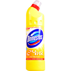 Domestos Bleach 750ml - Citrus Fresh - STX-146869 