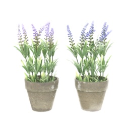 Kaemingk Plastic Lavender In Pot - 11 x 25cm - STX-323884 