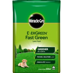Miracle-Gro Evergreen Fast Green - 400m2 Bag - STX-326462 