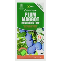 Vitax Plum Maggot Trap - STX-326714 