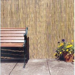 Ambassador Bamboo Cane Screening - 4m x 2m - STX-329672 