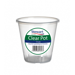 Stewart Clear Pot - 11cm - STX-338359 
