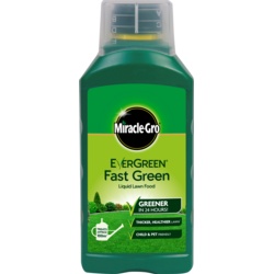 Miracle-Gro Evergreen Fast Green - 1L Concentrate - STX-338709 