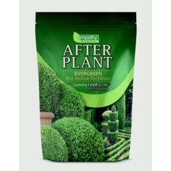 Empathy After Plant Evergreens With Rootgrow - 1kg - STX-346742 