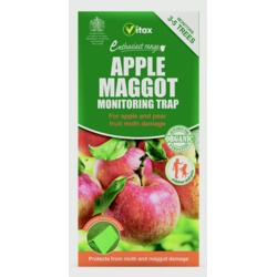 Vitax Apple Maggot Monitoring Trap - 114g - STX-367242 
