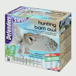 Defenders Hunting Barn Owl - STX-367685 