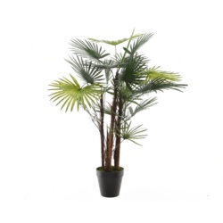 Kaemingk Plastic Fortunei Green Palm - 90cm - STX-372359 