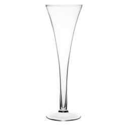 Ravenhead Entertain Prosecco Flutes - Set Of 2 - STX-373377 