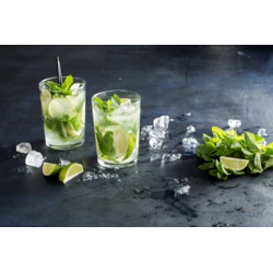 Ravenhead Essentials Mojito Glasses - Set 2 - STX-377954 