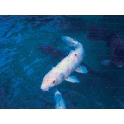 Ambassador Black Pond Protect Net - 100m x 2m - STX-383864 