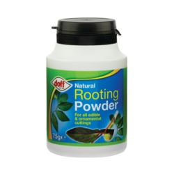 Doff Natural Rooting Powder - 75g - STX-411339 