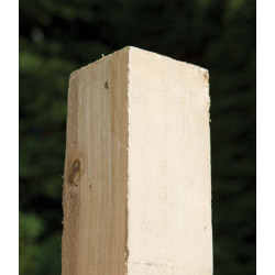 Pressure Treated Fence Post - 75mm x 75mm x 1.8m - STX-456733 