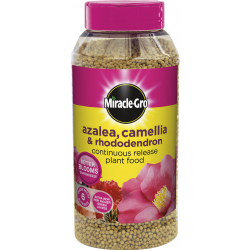 Miracle-Gro Slow Release Azalea, Camellia & Rhododendron Plant Food - 1kg Shaker Jar - STX-519423 
