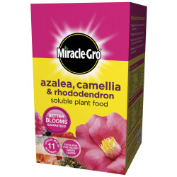 Miracle-Gro Azalea, Camellia & Rhododendron Soluble Plant Food - 1kg - STX-839683 