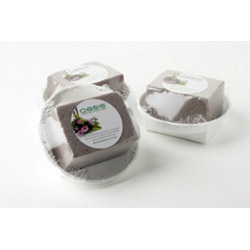 Oasis White Round Bowl - OASIS® SEC Floral Foam - 16 x 4cm - STX-844717 