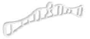 Rack ends White 350mm - S5219