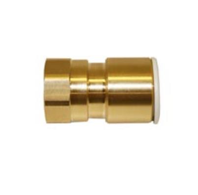 Female Coupler - Tap Connector - 22mm x 3/4" - MW452216N