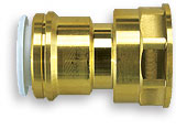 Speedfit Female Cylinder Adaptor 22mm x 1BSP - 246395