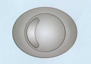 VIVA - Dual Flush Spare Button - PP0023/SB - DISCONTINUED