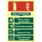 ASEC Fire Extinguisher 200mm X 300mm PVC Self Adhesive Photo Luminescent Sign - Dry Powder - 1576 