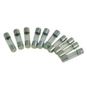 ASEC 10 Pack Of Fuses - 500mA - 500MA 