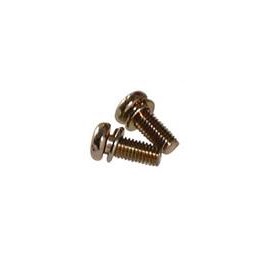 SCREW FOR BLANKING PLATE - 2039-6826