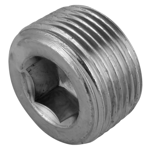 1/8" NPTF Hex Socket Steel Plug - 09100/HD 